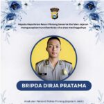 046029000_1771749073-290709